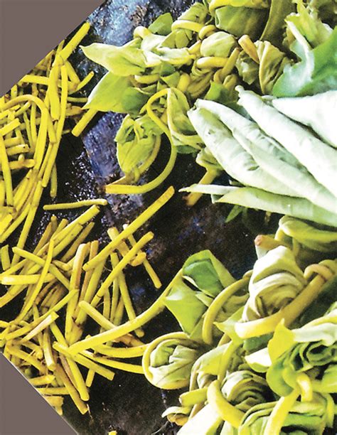 Gabi: An indigenous vegetable of the Philippines.